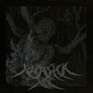 Kursha - Лес